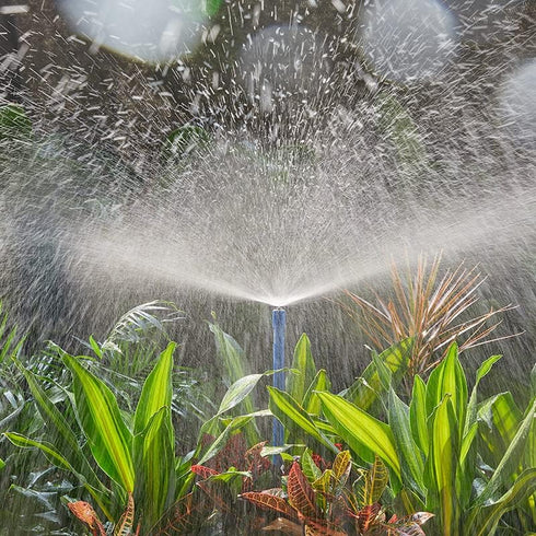 10 Pcs Garden Irrigation Misting Nozzles 1/2" Adjustable Garden Lawn Watering 360° Misting Sprinkler Heads Micro Irrigation Sprayer for Garden Irr...