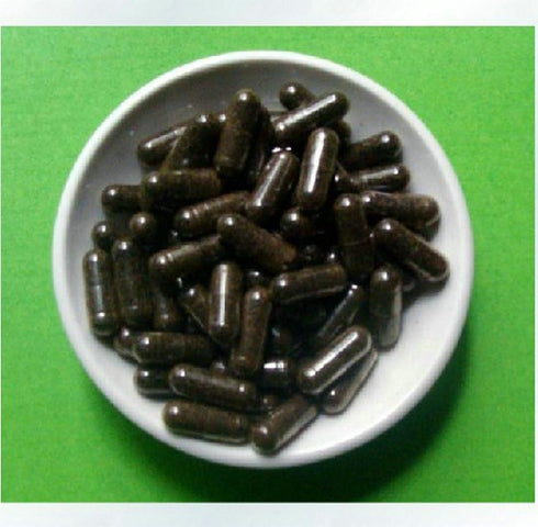 UNADULTERATED Wild Mountain POLYRACHIS ANT/polyrhachis vicina Double Extract 100 Capsules...