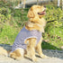 ANIAC Summer Dog Shirt for Medium Dog Girl Boy Striped Dog T-Shirt White Basic Tank Top Sleeveless Doggy Vest Spring Pet Clothes for Dog (White, 5...
