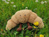 WeightedPlush 9" Croissant Plush Cute Smile Croissant Bread Pillow Stuffed Animals Funny Soft Food Plushies Toy for Gifts for Kids Birthday...