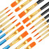 20 Pcs Paint Brush Set for Acrylic Painting, Watercolor, Miniature Detailing, and Rock Painting...