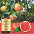 100% Pure Essential Oil - Premium Oil for Aromatherapy, Massage, Topical & Household Uses - 1 fl oz (Grapefruit)...