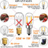 LiteHistory E12 15w Night Light Bulbs 150lm Himalayan Salt lamp Bulb 2700K t22 t7 led Bulb 2Pack...