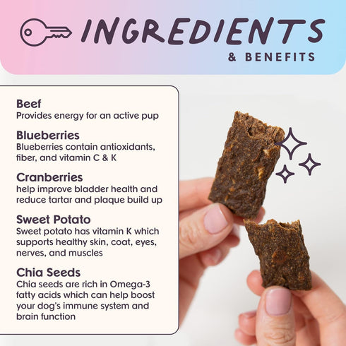 Leash & Load Dog Treats Beef Jerky Snack Bars, 5 oz Bag, Puppy and Dog Training Treats, Natural Superfood Grain Free Dog Treat Made with Real Beef...