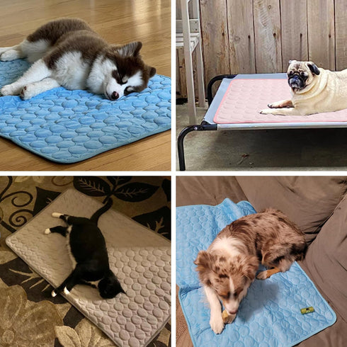 MICROCOSMOS Summer Cooling Mat & Sleeping Pad- Water Absorption Top, Materials Safe, Easy Carry, EZ Clean. Keep Cooling for Pets, Kids and Adults....