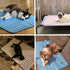 MICROCOSMOS Summer Cooling Mat & Sleeping Pad- Water Absorption Top, Materials Safe, Easy Carry, EZ Clean. Keep Cooling for Pets, Kids and Adults....