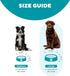Outward Hound Fun Feeder Slo Bowl, Slow Feeder Dog Bowl, Large/Regular, Turquoise...
