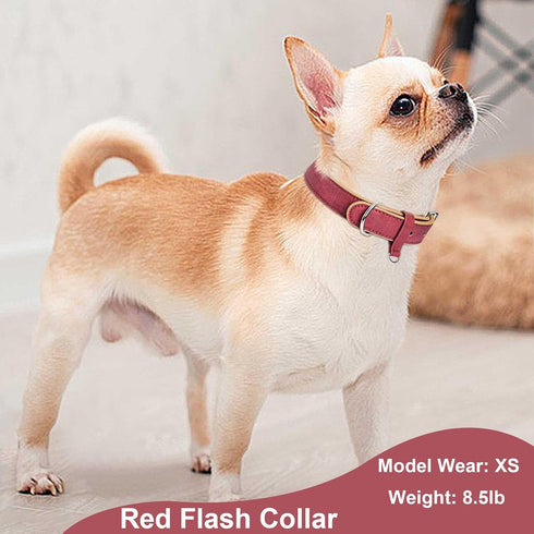 Small Dog Collar Girl Boy, Dog Collar for Small Medium Large Dogs, Puppy Collars Chihuahua Collar Adjustable Pet Cat Collar Pink Collar Para Perro...