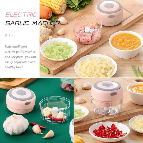 Electric Mini Garlic Mincer, 100ML USB Vegetable Onion Chopper, Portable Small Food Processor for Ginger, Chili, Vegetables...
