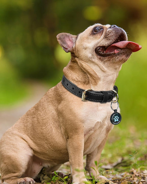 Joytale Leather Dog Collars for Small Dogs, Genuine Heavy Duty Dog Collar with QR ID Tag, Soft Metal Buckle Collars, Black, S...
