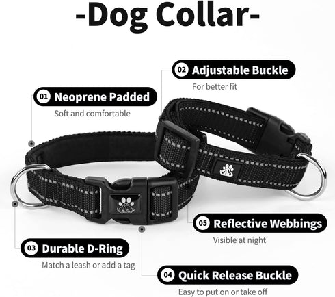 IVY&LANE Reflective Dog Collar and Leash Set,Adjustable Neoprene Padded Dog Collars for Puppy, Breathable Nylon Pet Collar for Small Medium Large ...