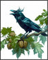 Posterizer 1 pcs-detailed natural history illustration of a raven-Corvus corax 4-Art for Animal Lovers-Gift for Men Women Teens-Chic Home Decor- u...