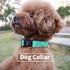 NESTROAD Reflective Dog Collar,Soft Neoprene Padded Dog Collar with Quick Release Buckle,Adjustable Breathable Pet Collar for Medium Dogs(Medium,T...