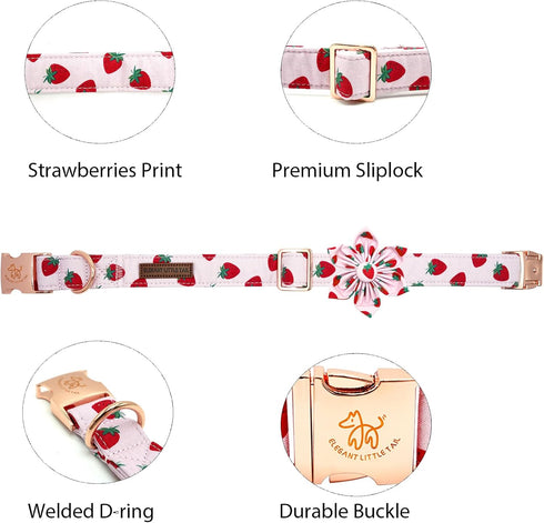 Elegant little tail Dog Collar with Flower, Strawberries Print Pet Collar Flower Dog Collar Summer Cute Dog Collar Adjustable Dog Collar for Small...