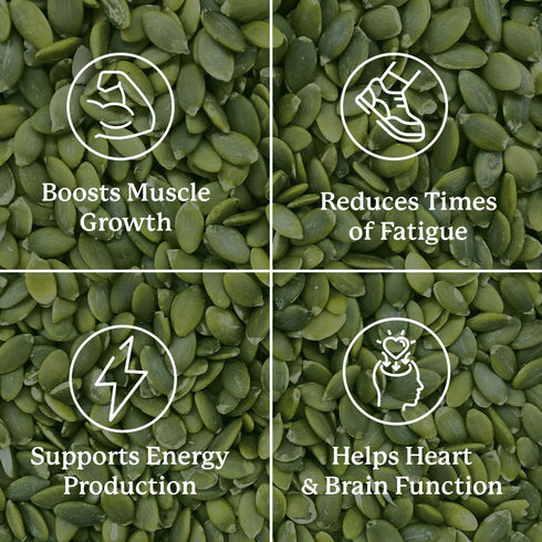Nature’s Sunshine Magnesium Complex - High Potency Magnesium Supplement for Muscle Function, Energy Production, & Reduction of Tiredness and Fatig...