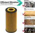 Oil Filter Fits Audi A3 A4 A5 A6 Q3 Q5 Q7 S3 Quattro Allroad Sportback TT Quattro Fits Volkswagen Arteon Atlas Beetle Golf Alltrack R Sportwagen G...