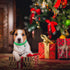 3 Pack Christmas Pet Collar, Adjustable Xmas Dog Collar with Jingle Bell, Wave Point Pattern Neck Ring | Cute Fashion Nylon Collar for Small Pet D...