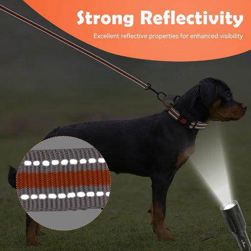 Martingale Collar for Dogs,Soft Neoprene Padded Reflective Martingale Collar and Leash Set Safety Buckle Nylon Martingale Collar for Puppy(Orange&...