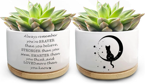 Cute Cat Succulent Plant Pot with Inspirational Quote, Funny Small Cactus Flower Planter Pots for Indoor Plants, Windowsill Desk Decor Planter Gif...