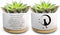 Cute Cat Succulent Plant Pot with Inspirational Quote, Funny Small Cactus Flower Planter Pots for Indoor Plants, Windowsill Desk Decor Planter Gif...