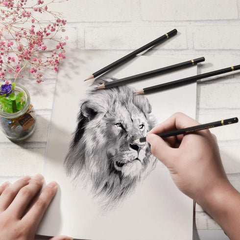 Sketching Pencil Set - 24 Pieces Drawing Sketch Pencil HB,B,2B,3B,4B,5B,6B,7B,8B,10B,12B,14B,H,2H,3H,4H,5H,6H,7H, Includes Charcoal, Eraser, Graph...