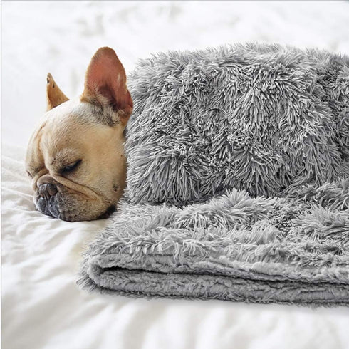 BENRON Small Dog Blanket for Couch Bed Crate, Cozy Reversible Fleece Dog Blanket, Washable Fluffy Throw Blankets 20x30 Inches Grey...