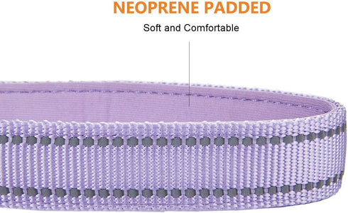 Reflective Nylon Padded Dog Collar Adjustable Soft Pet Collars with Quick Release Buckle for Small Medium Large Dogs (Lavender, 13-19 inch)...