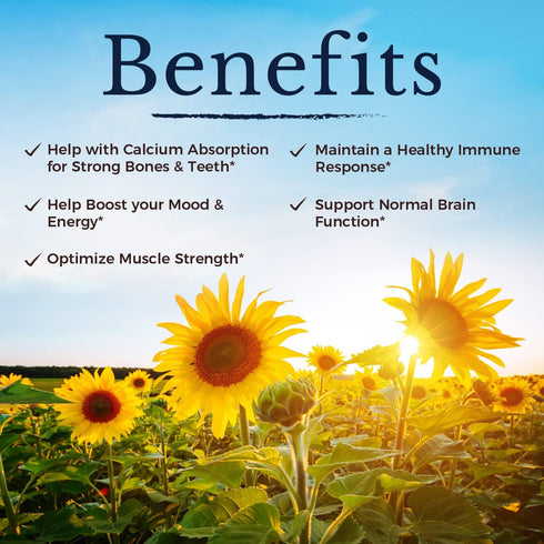 VITALITOWN Vitamin D3 5000 IU (125 mcg), Supports Bone, Immune, Teeth, Muscle & Nerve Health, D3 Vitamin, Easy-to-Swallow, Vegetarian, 360 Softgel...