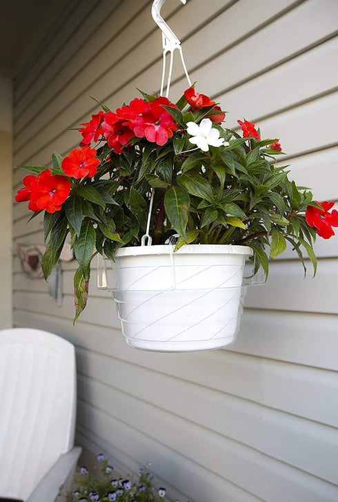 Curtis Wagner Plastics Hanging Basket Drip Pan, Clear, 12 Inch...
