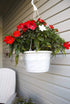 Curtis Wagner Plastics Hanging Basket Drip Pan, Clear, 12 Inch...