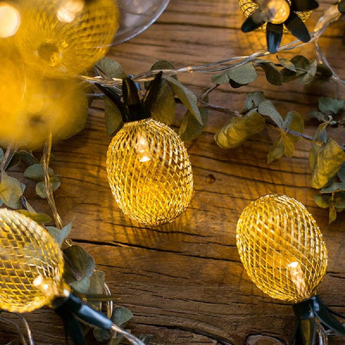 Merdeco Pineapple String Lights, 10ft 20 LED Plug in String Lights Warm White Fairy Lights for Birthday Party Wedding Home Indoor Outdoor Decorati...