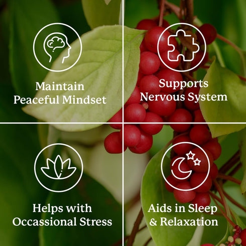 Nature's Sunshine Nutri-Calm - Herbal Stress Relief Supplement, Natural Relief for Adults, Happy Pills for Stress, Sleep & Mood Support, Mood Boos...