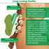 Neck Patches - 24 Count Warming Herbal Plaster Maximum Strength Heat Patches, 8 Hours Deep Heating Extra Strength Joint Soreness Soothing Patch fo...