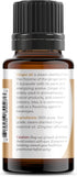 Viva Doria 100% Pure Ginger Fresh Essential Oil, Undiluted, Food Grade, Ginger Oil, 0.5 Fluid Ounce (15 mL) Natural Aromatherapy Oil...