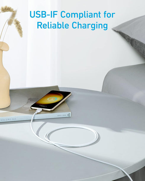 Anker USB C Cable, 310 USB C to USB C Cable (6 ft), (60W/3A) USB C Charger Cable Fast Charge for iPhone 15/15Pro, Max,Samsung Galaxy S23, iPad Pro...