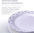 Silver Spoons Disposable Plates For Party - (20 Piece) Heavy Duty Disposable Dinner Set 7.5” , Fine Dining Plastic Dishes For Elegant China Look, ...