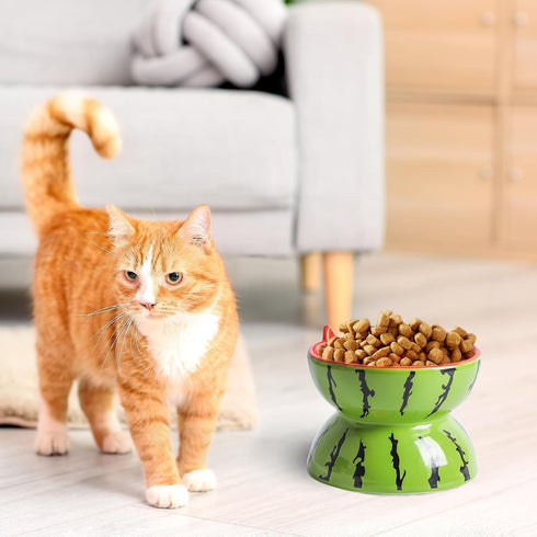 Hamiledyi Ceramic Raised Cat Bowl 5In Elevated Wide Cat Bowl for Food and Water Anti Vomiting Tilted Pet Feeder Dish for Indoor Cats and Small Dog...
