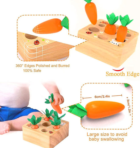 Montessori Educational Toys Wooden Carrots Harvest Shape Size Sorting Games for Matching Puzzle Gift Preschool Learning for Boys Girls Kids Toddle...