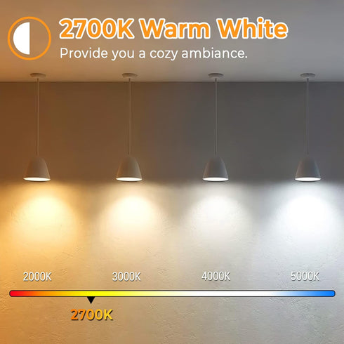 Brightever 4-Pack Vintage LED Edison Bulbs 60W Equivalent, 6W ST58 2700K Warm White Antique LED Filament Bulbs, E26 Medium Base, Clear Glass Style...