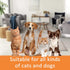 Pet Dog Cat Brush for Shedding and Dematting - Grooming Brush Double Sided Undercoat Rake Comb for Long Short Hair Dogs and Cats -Green...