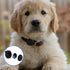 2pcs Dog Collar Holder for AirTag, Waterproof Dog Collar Holder Anti-Loss Soft Silicone Protective Case Cover for Pets Dog Cats Compatible with Ap...