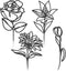 Blulu 4 Pcs Cast Iron Flower Wall Decor 11.81 Inches Metal Wall Hangings Black Minimalist Wire Signs Mid Century Modern Elegance Wall Accents Easy...