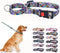 Heavy Duty Dog Collar with Buckle, No Pull Escape Proof Limited Choke Pinch Pet Martingale Collars Quick Release for Small Medium Large Breed Dogs...