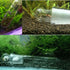 Planaria Trap Catch Trap Leeches Catcher, Aquarium Supplies Clear Glass Planarian Leech Trap Tube Catcher 3 Holes for Cherry Shrimp Crystal Red Sh...