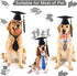 Pet Graduation Caps Dog Graduation Hat with 2024 Black Tassel Puppy Grad Hat Graduation Costume for Dogs Cats Holiday Dog Outfits Accessory Party ...