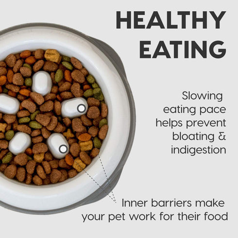IRIS USA 4 Cups Slow Feeder Dog Bowl, Anti-Choking, Anti-Slip, Easy to Clean, Interactive Puzzle Toy, Healthy Digestion, Long snouted, Dogs Cats &...