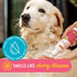 Essential Fatty Acid (EFA) Deodorizing Conditioner for Dogs and Pets (16oz) – Cherry Blossom Scent | Soothing Conditioner Rich With Moisturizing E...