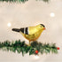 Old World Christmas Ornaments: Bird Watcher Collection Glass Blown Ornaments for Christmas Tree, American Goldfinch...