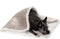 Furhaven Waterproof & Self-Warming Throw Blanket for Dogs & Indoor Cats, Washable & Reflects Body Heat - Soft-Edged Terry & Sherpa Dog Blanket - D...