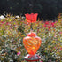 Ant Guard for Hummingbird Feeders, Hummingbird feeders for Outdoors Hanging, 2 Hooks with 2 Brushes, Transparent Plastic Ant Moat, Red...
